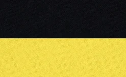 Alvi Schlafsack Player BVB 2025
