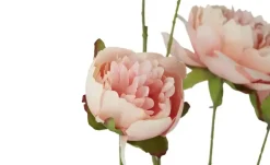 Deko Peonie