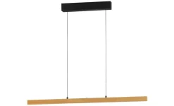 Fischer-Honsel Pendelleuchte