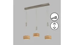 Fischer-Honsel Pendelleuchte