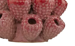 HOME STORY 3D Himbeeren Vase