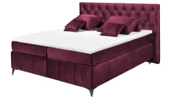 Kollektion Kraft Boxspringbett Pembroke