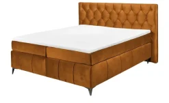 Kollektion Kraft Boxspringbett Pembroke