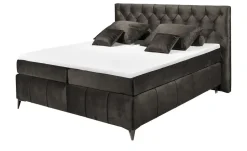 Kollektion Kraft Boxspringbett Pembroke