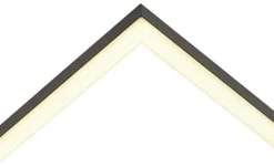 Meisterleuchten LED-Deckenleuchte 2-flammig, schwarz mit Fernbedienung