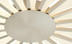 Meisterleuchten LED-Deckenleuchte, ´Sonne´ Nickel matt
