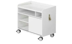 PAIDI Rollcaddy e-lion 1