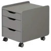 PAIDI Rollcontainer