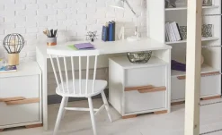 pinio Container