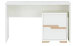 pinio Container