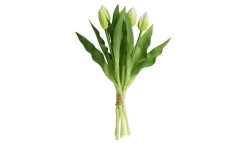 Tulpenbund 5fach